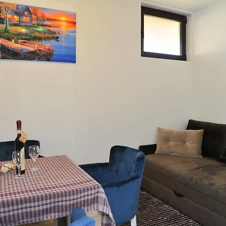Apartmani Krstojevic 科帕奥尼克 外观 照片